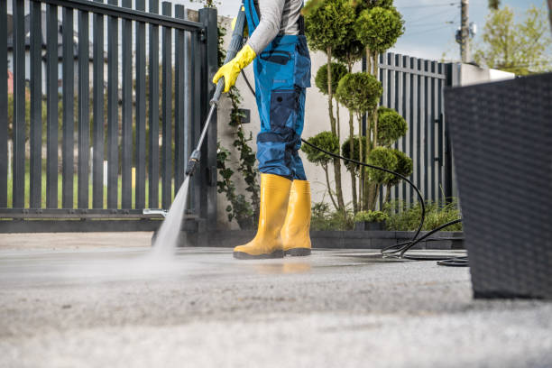 Best Spring Cleaning  in Webster, TX